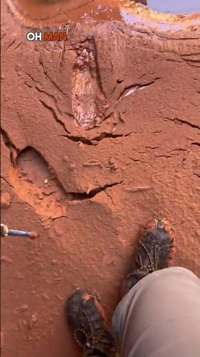 🤔 Don't Believe Everything You See in Movies: Find Out What Quicksand REALLY Looks Like