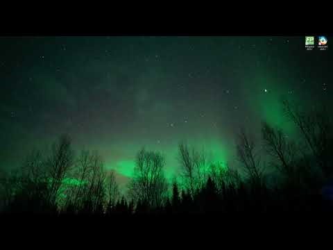 How to program a Microchip FPGA using Job file and Flash Pro Express 2025.1