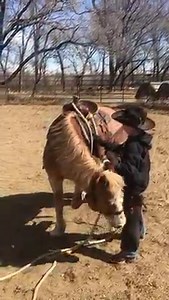 694K views · 10K reactions | He’s a fine young man. That being said...