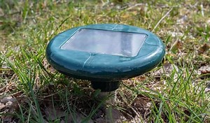 The 6 Best Solar Pest Repeller to Deter Unwanted Animals