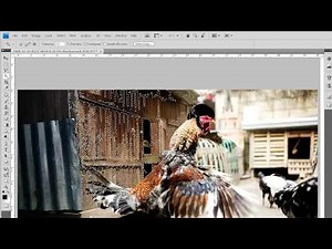 Photoshop CS4 Tutorial - First six tools overview (beginner)