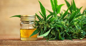 Your Complete Guide to CBD (Cannabidiol) Oil