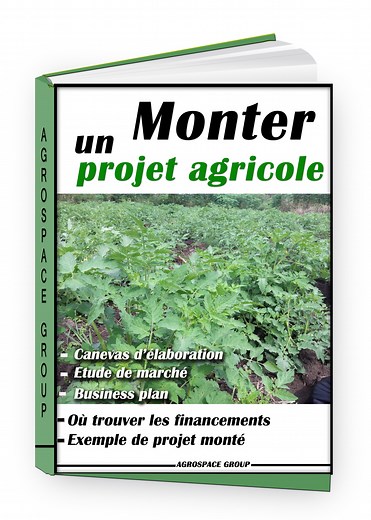 LIVRE⎮Comment Monter et Rédiger un projet d'agriculture en Afrique - AgroSpace Group