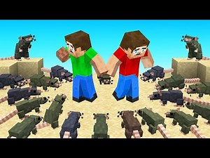 Minecraft BUT There Are 1000 RATS!