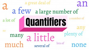 Quantifiers - 14 questions