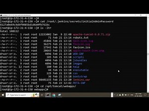 How to install Jenkins in EC2 instance | AWS