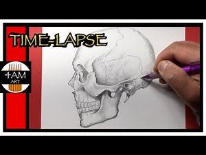 How to Draw a SKULL (side view)- TIME LAPSE
