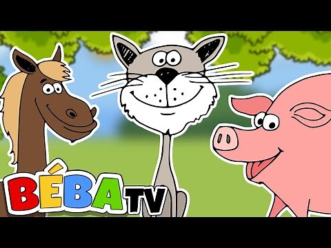 ANIMAL Song | Nursery Rhyme | BÉBA
