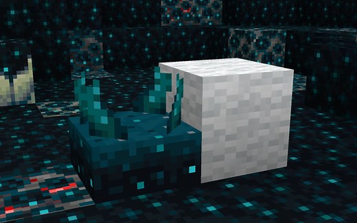 How to use wool in Deep Dark Biome in Minecraft 1.19?
