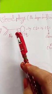 Classical Pathway- Complement System