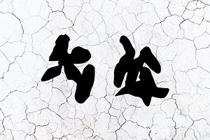 Opossum Poop | Ultimate Guide | Assorted Animals