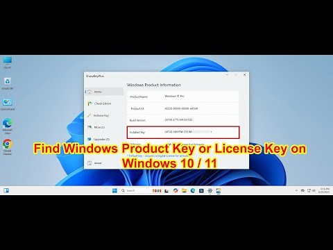 How to Find a Windows Product Key or License Key on Windows 10 / 11