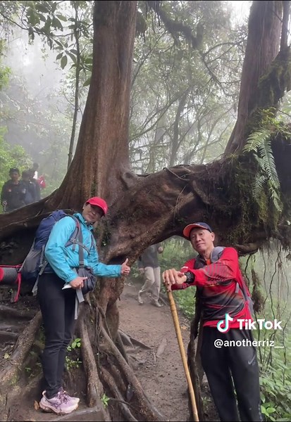 Hingga Tua Bersama di Gunung Kembang