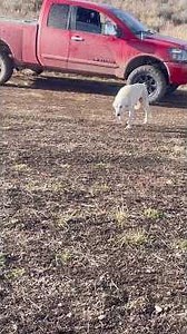 Here is the second video in this heartwarming story. The first part is my last Short