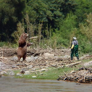 1.9M views | The Bears vs. Packers rivalry continues in an all-new destination. Stream Thursday Night Football live on Prime Video starting 9/28. | Prime Video | Facebook