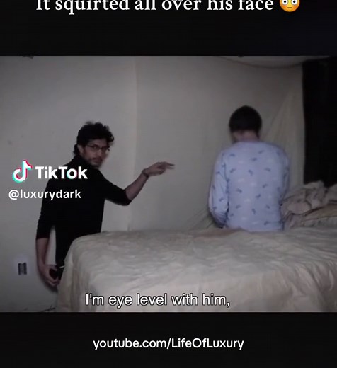 Uncovering the Dark Secrets of Life of Luxury