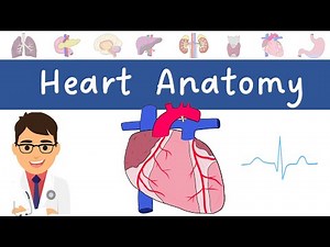 Heart Anatomy | MADE EASY!
