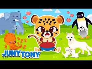 Mommy and Daddy Animals ❤️ Baby Animals 🍼 + More Animal Songs for Kids | JunyTony