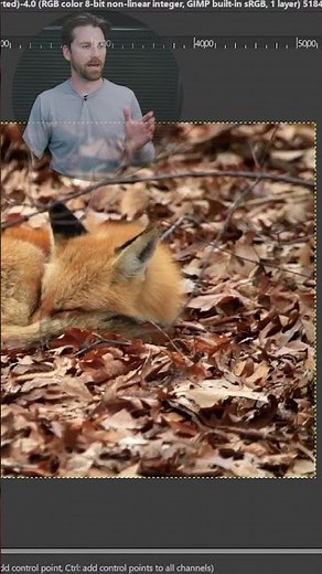 GIMP Non-Destructive Editing First Look (GIMP 2.99.18 Update)