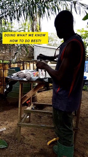 2.6K views · 43 reactions | Precision + Preparation = Perfect Hatch! #ubfarmslimited #successfulbreeding | UBFarmsLimited | Facebook