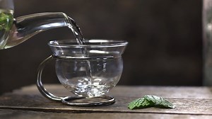 Lemon Balm Herb | Uses & Medicinal Effects | Britannica