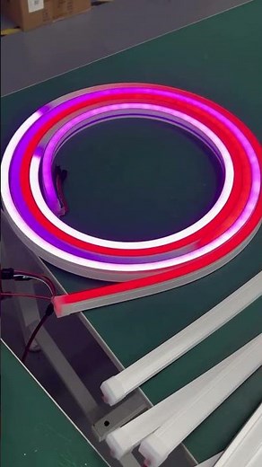 Dc24v side illuminated 1220size digital neon flex led tube with cable from side #1220neonflexled