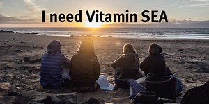 57 Funny Travel Quotes to cheer up your day