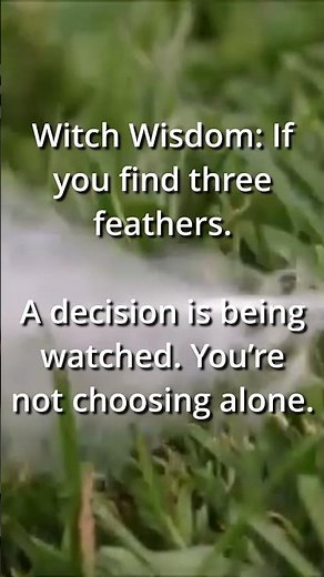 Witch Wisdom ✨ 3 Feathers & the Messages You’re Not Seeing