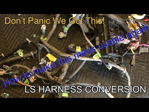 Stand Alone LS Wiring Harness (How To) - Part 1
