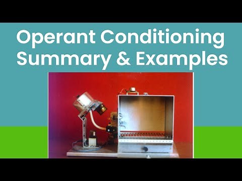Operant Conditioning In Psychology: B.F. Skinner Theory