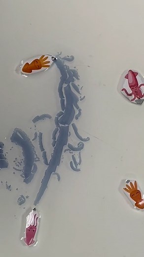 1.2M views · 5.7K reactions | Ink propelled squid science activity for kids 撚 | Lessons Learned In Life | Facebook