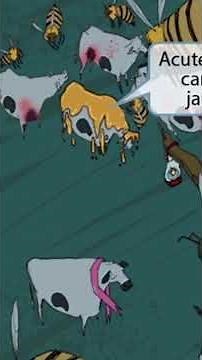 Hepatitis B — Decode the antigens, ace the question