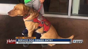 86K views · 754 reactions | #13Investigates An investigation is underway after a Las Vegas family says their service dog was denied entry from a northwest are burger restaurant. Joe Bartels has the story >> https://bit.ly/2I8oN21 | KTNV Channel 13 Las Vegas | Facebook