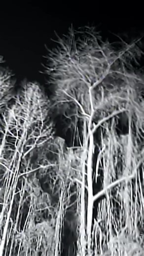 If you grew up in the 90s, leave a comment. | Collective Soul | Facebook