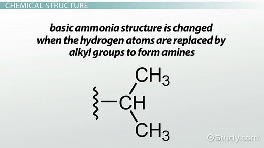 Amine Structure, Properties & Examples