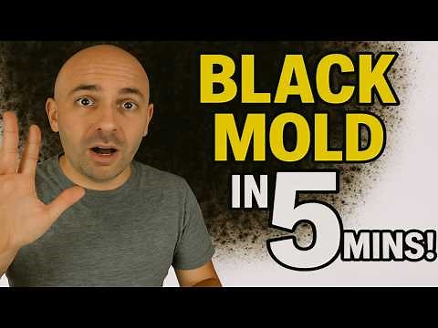 Black Mold - How To Kill Toxic Mold In Under 5 Mins!