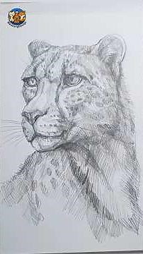 How to Draw a Realistic Leopard Face 🐆 | Step-by-Step Pencil Sketch for Beginners