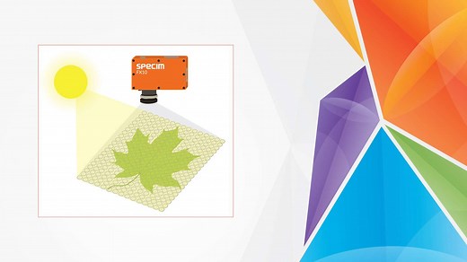 What is hyperspectral Imaging?: A Comprehensive Guide - Specim Spectral Imaging