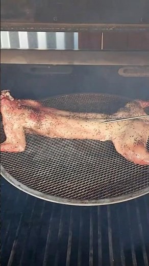 Have you ever Cooked Wild Rabbit | Wild Rabbit with a Raspberry Glaze