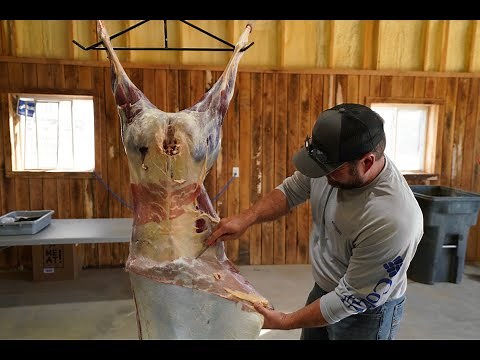 Best Deer Skinning Method: Fast and Easy