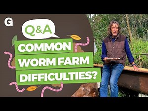 What are Some Common Worm Farming Difficulties?