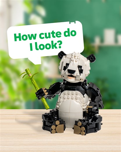 121K views · 765 reactions | Which one are you? Are you more panda, more penguin or just all out ORCA!?  | LEGO | Facebook
