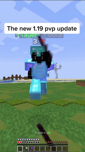 Ultimate Minecraft PvP 1.18 & 1.19 Update with Java Hitsync