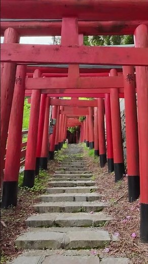 高野山 | Mount Koya | Koyasan | 和歌山観光地 | Wakayama Sightseeing Spot | World Heritage | 世界遺産