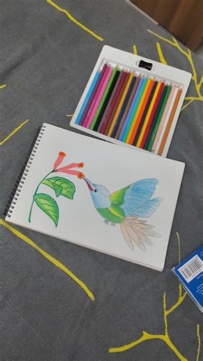 Hummingbird Drawing 🕊️ | Beautiful Pencil Sketch of a Hummingbird | Step-by-Step | Krish Art