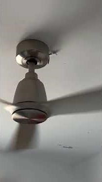 Fanimation Kute Ceiling Fan