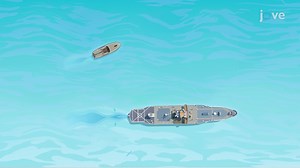 Video: Relative Velocity in Two Dimensions