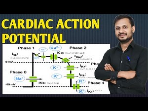 "Cardiac Action Potential Explained Step-by-Step | MB Paramedical TACH