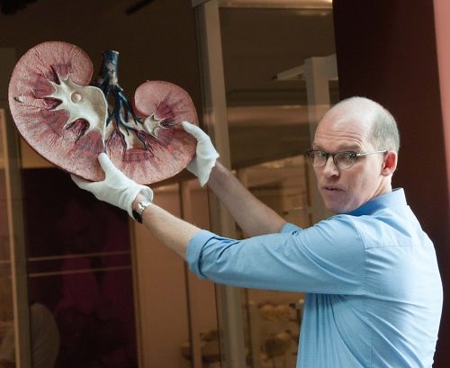 Renal Function Essentials: Understanding Kidney Pathophysiology