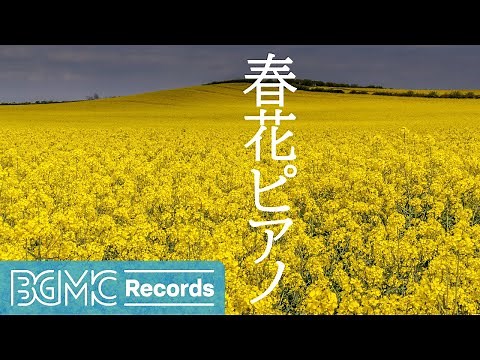Spring Flower Piano: Peaceful Piano Music for Stress Relief & Relaxation | Beautiful Melodies